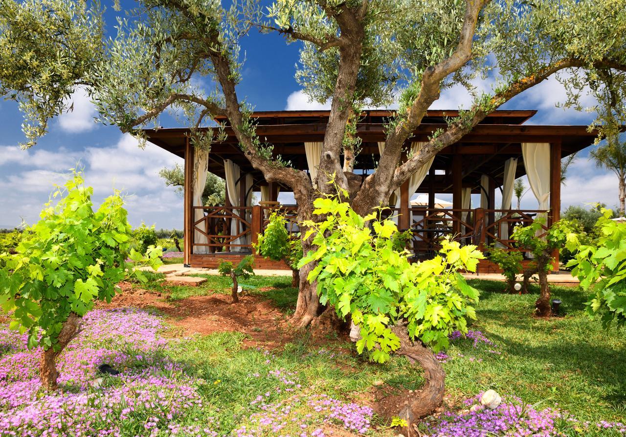 Chateau Roslane Boutique Hotel & Spa Meknès Exteriör bild