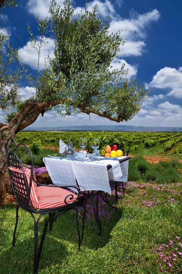 Chateau Roslane Boutique Hotel & Spa Meknès Exteriör bild